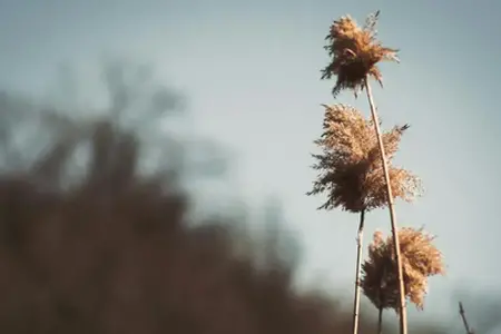 Romanya'nın otoyollarında sürüş: konfor, hız ve macera