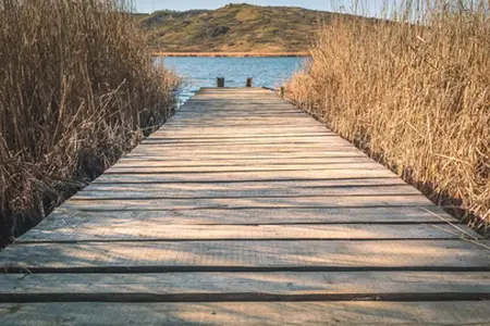 romunsko vinjeta nakupovanje